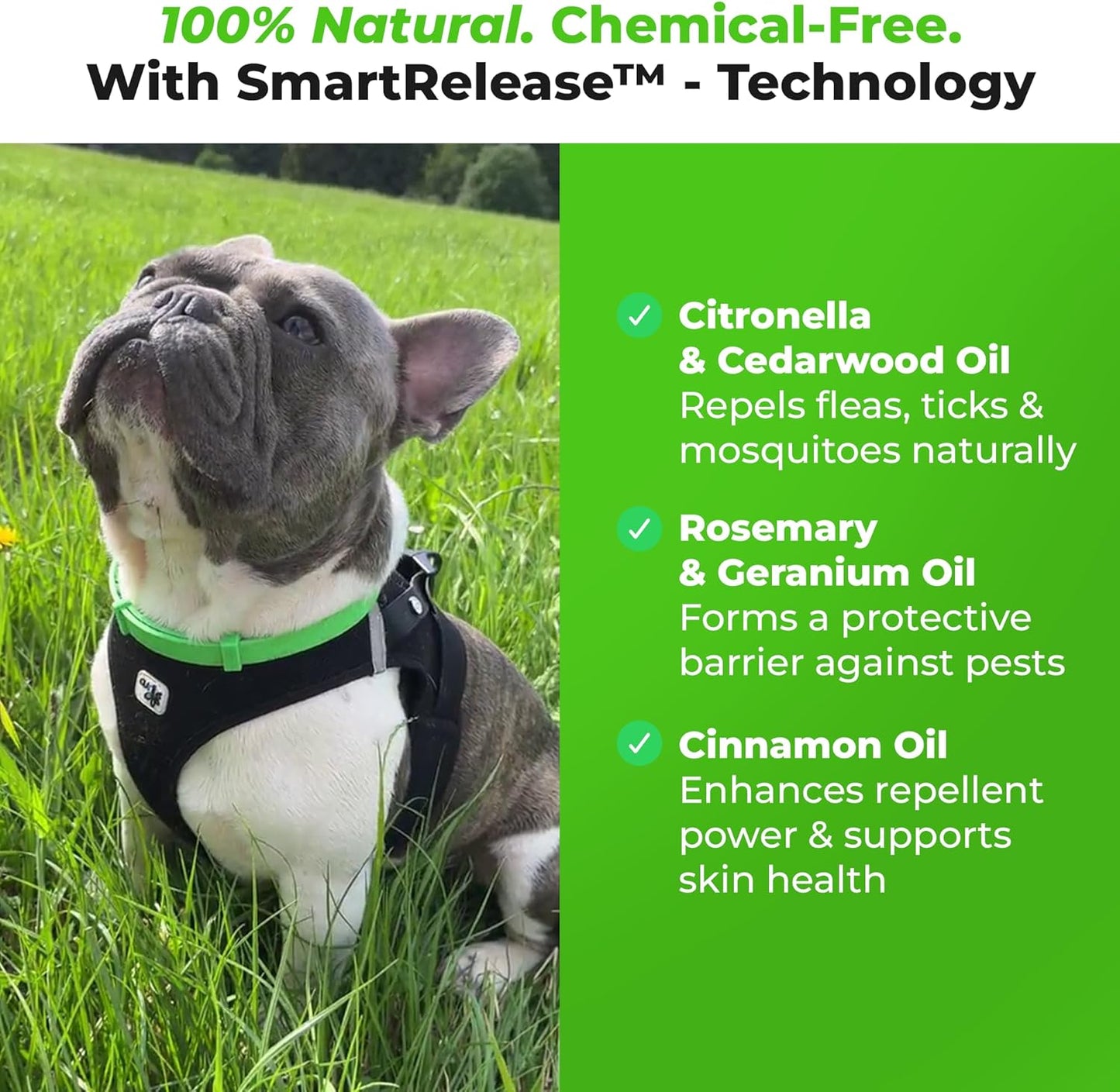 FurLife™ - 8 Months All Natural Flea and Tick Collar for Dogs