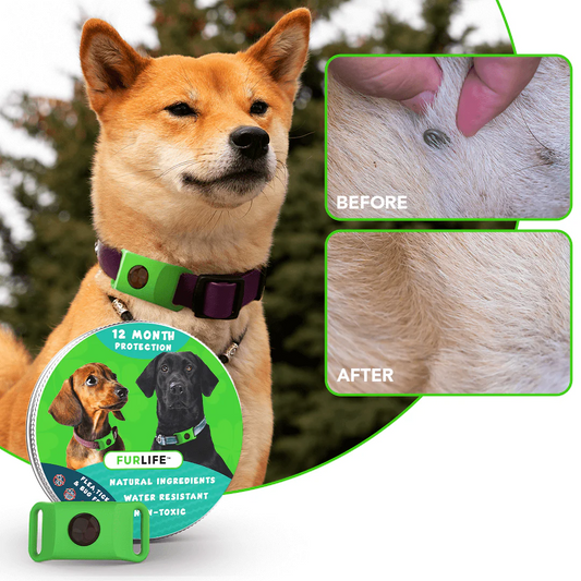 FurLife™ - 12 Months All Natural Flea and Tick Tags for Dogs