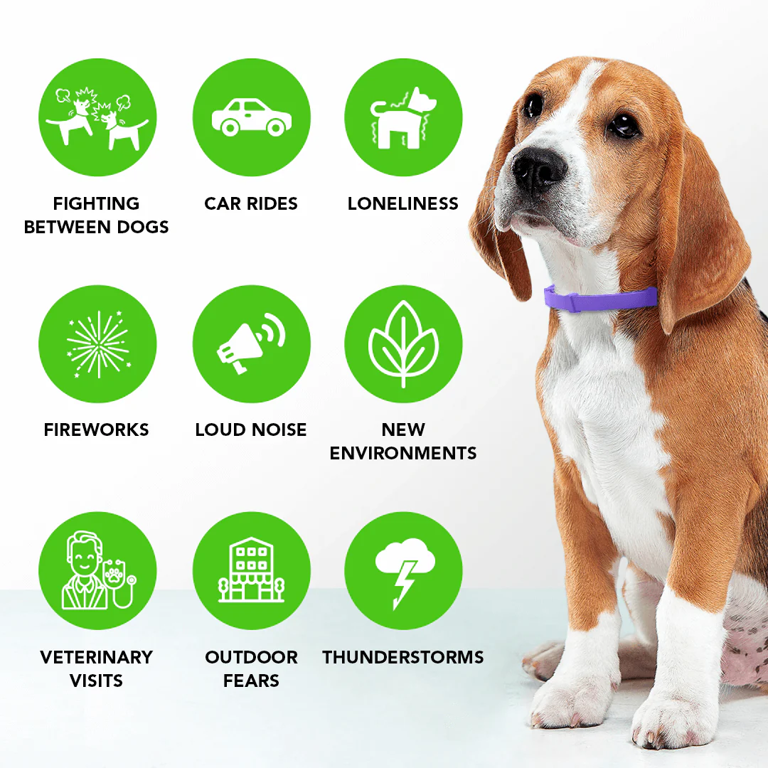 FurLife™ - Natural Pheromone Calming Collar for Dogs
