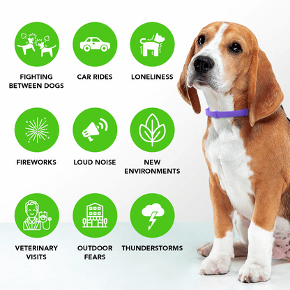 FurLife™ - Natural Pheromone Calming Collar for Dogs
