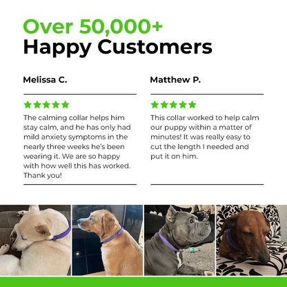 FurLife™ - Natural Pheromone Calming Collar for Dogs